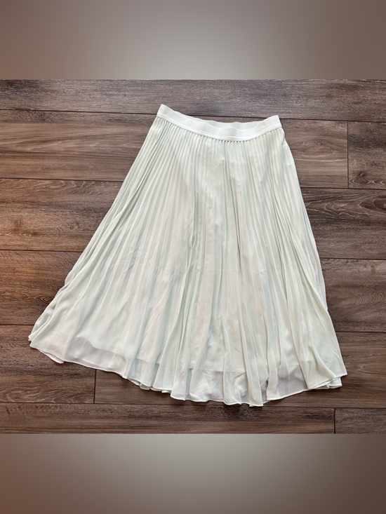 Jilly Box/ Gentle Fawn Light Green Skirt/Elastic Waist/ woman’s XL/ brand new - Picture 2 of 9